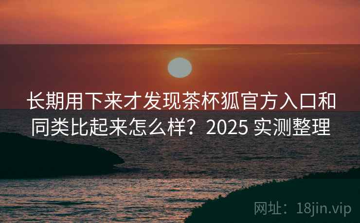 长期用下来才发现茶杯狐官方入口和同类比起来怎么样？2025 实测整理