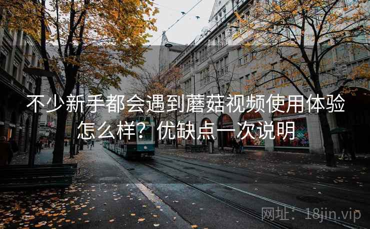 不少新手都会遇到蘑菇视频使用体验怎么样？优缺点一次说明