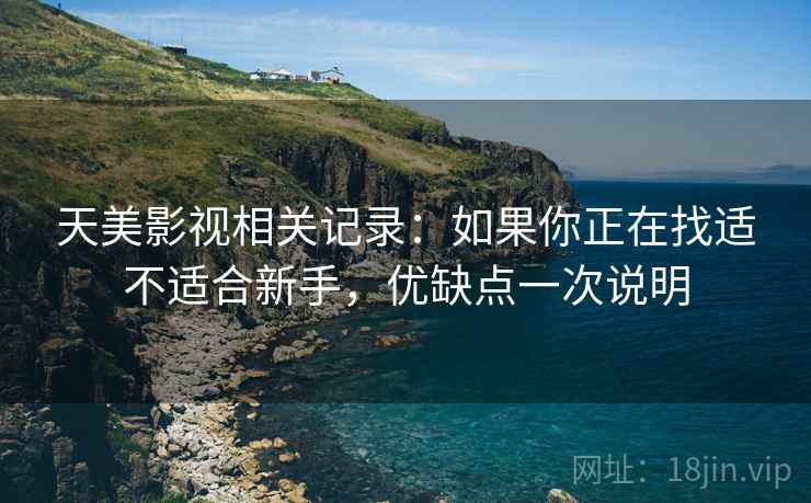 天美影视相关记录：如果你正在找适不适合新手，优缺点一次说明