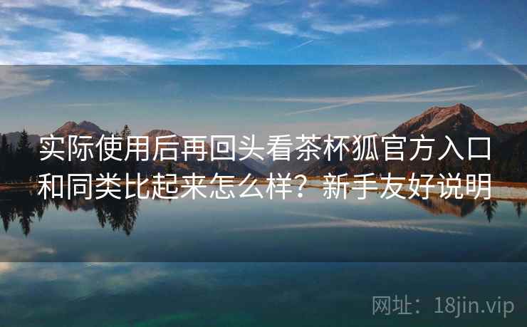 实际使用后再回头看茶杯狐官方入口和同类比起来怎么样？新手友好说明