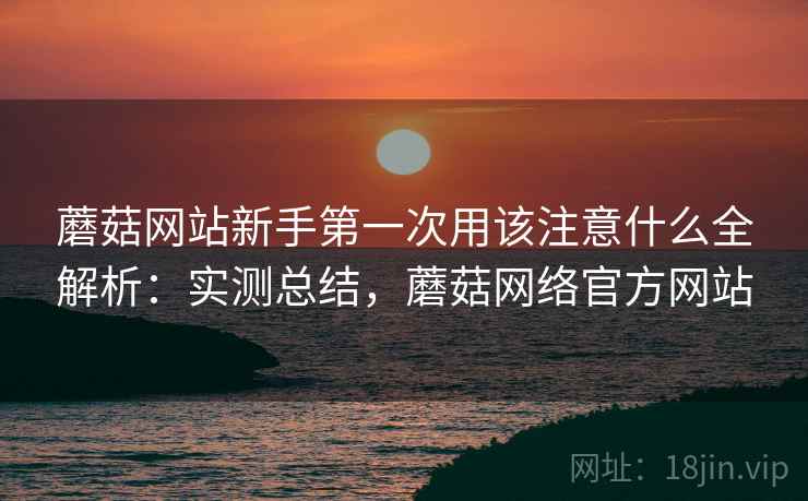 蘑菇网站新手第一次用该注意什么全解析：实测总结，蘑菇网络官方网站